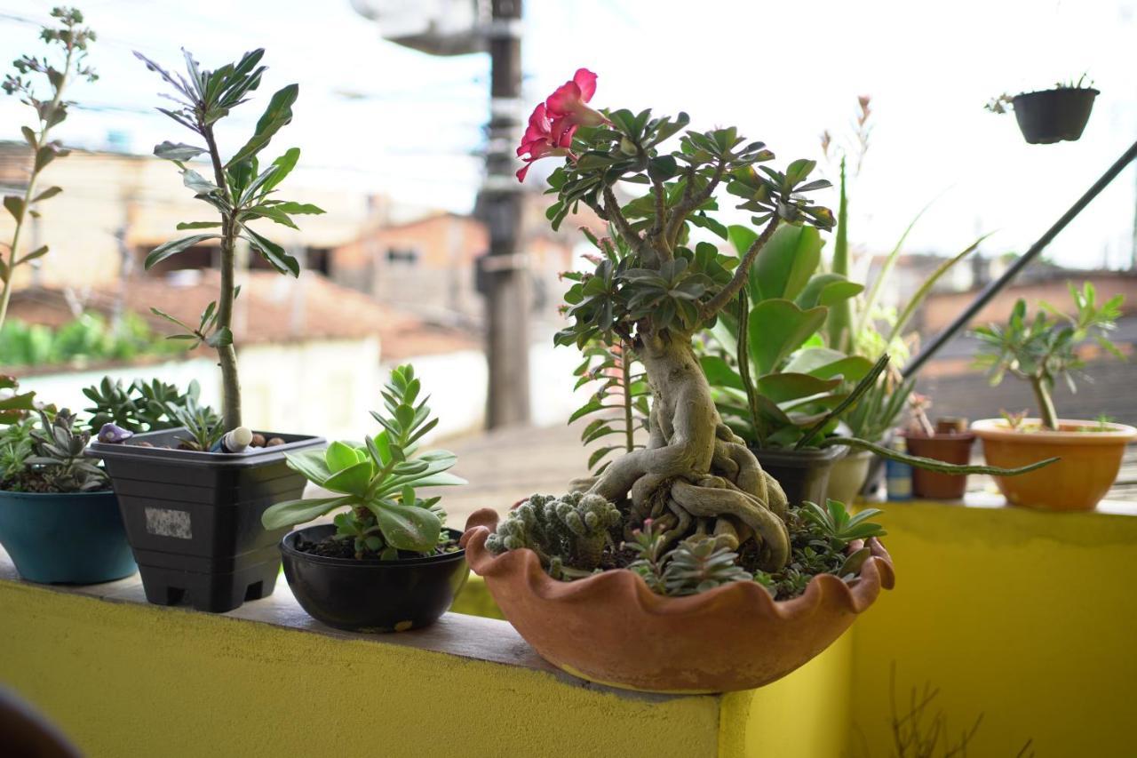 Porto Hostel Porto Seguro Kültér fotó